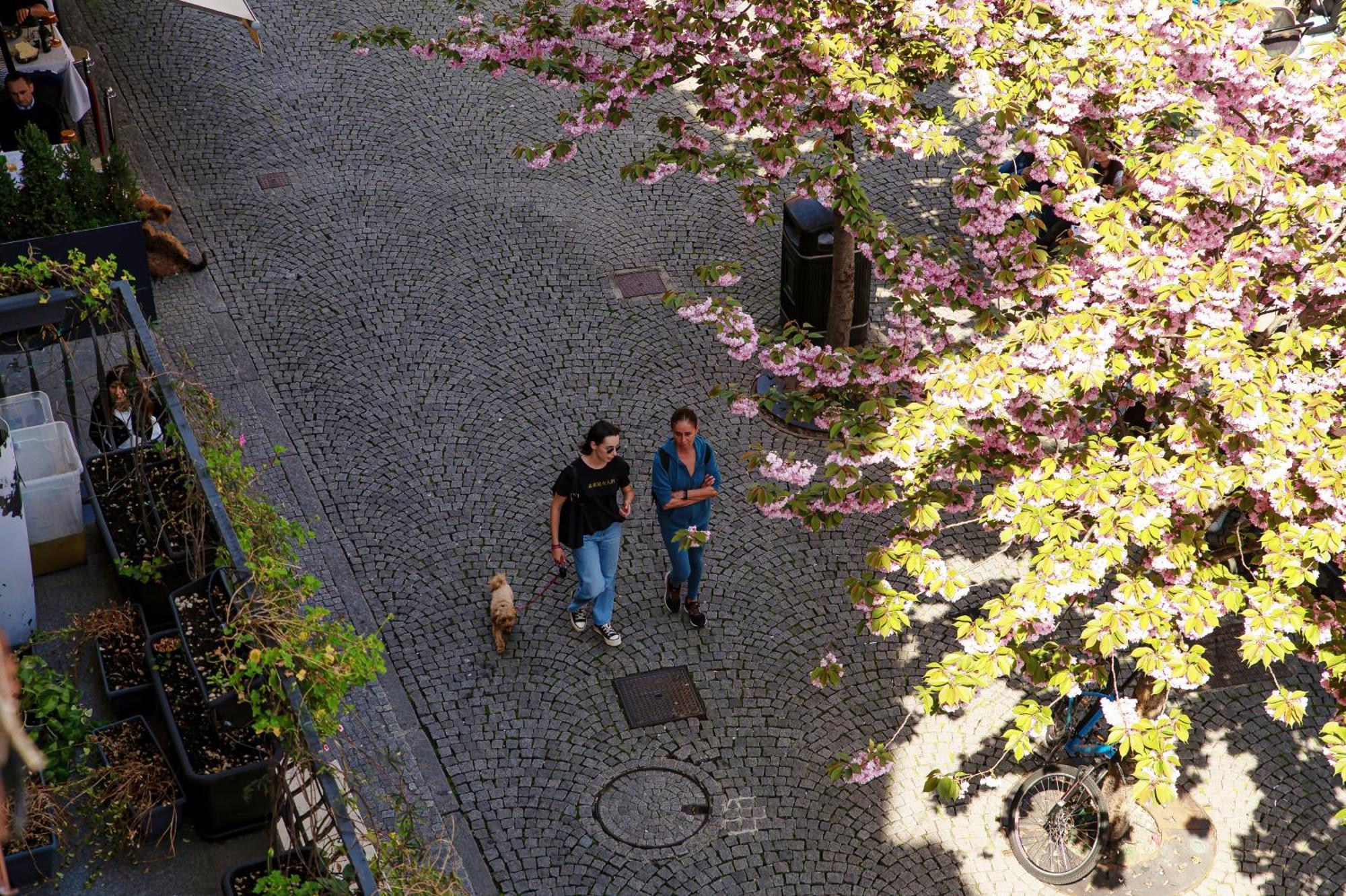 Fitzgerald Building - The House Of Travelers Lejlighed Como Værelse billede